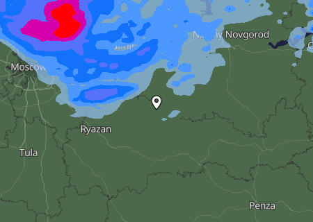 Niederschlagsprognose
