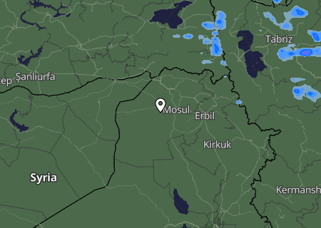 Niederschlagsprognose
