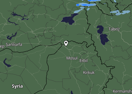 Niederschlagsprognose