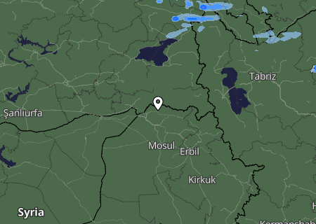 Niederschlagsprognose