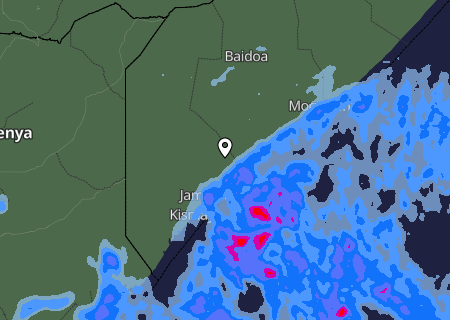 Niederschlagsprognose