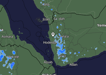 Niederschlagsprognose