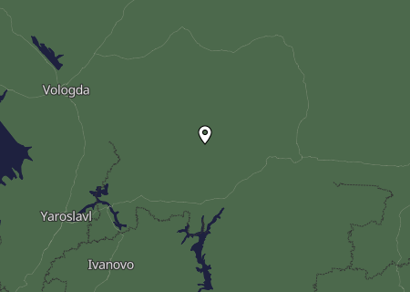 Niederschlagsprognose