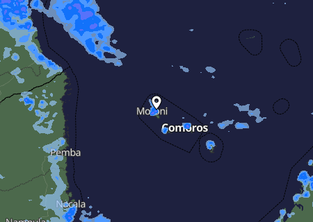 Niederschlagsprognose