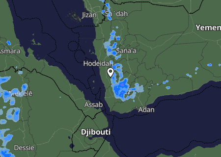 Niederschlagsprognose