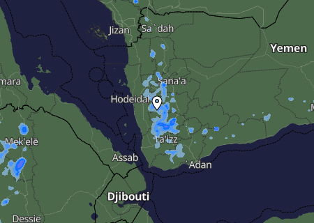 Niederschlagsprognose