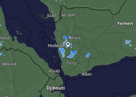 Niederschlagsprognose