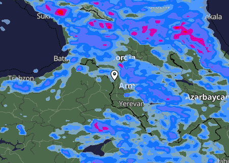 Niederschlagsprognose