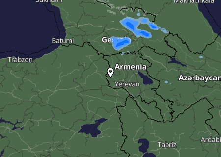 Niederschlagsprognose