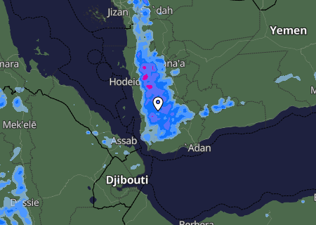 Niederschlagsprognose