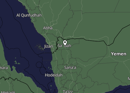 Niederschlagsprognose