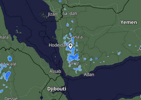 Niederschlagsprognose