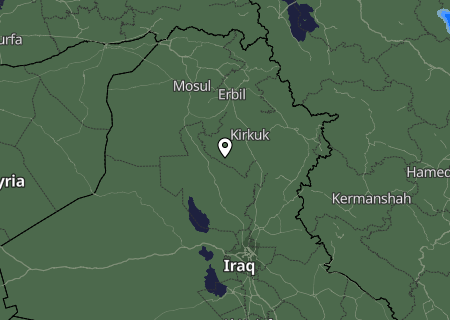 Niederschlagsprognose