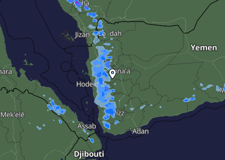 Niederschlagsprognose
