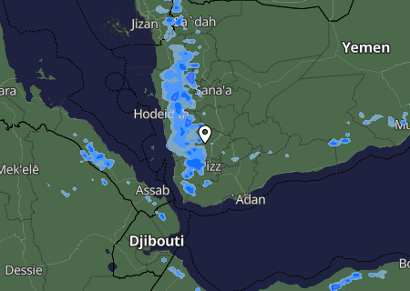Niederschlagsprognose