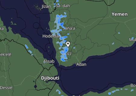 Niederschlagsprognose