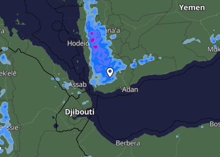 Niederschlagsprognose
