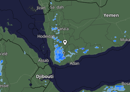 Niederschlagsprognose