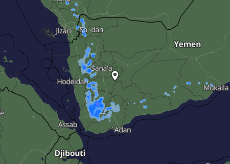Niederschlagsprognose