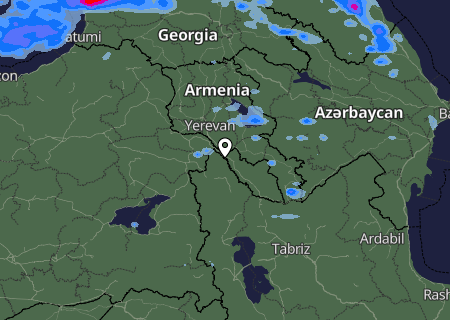 Niederschlagsprognose