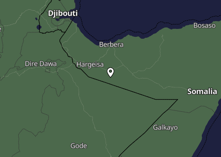 Niederschlagsprognose