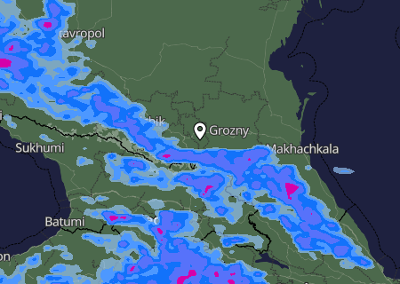 Niederschlagsprognose
