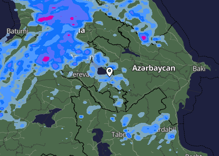 Niederschlagsprognose
