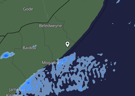 Niederschlagsprognose