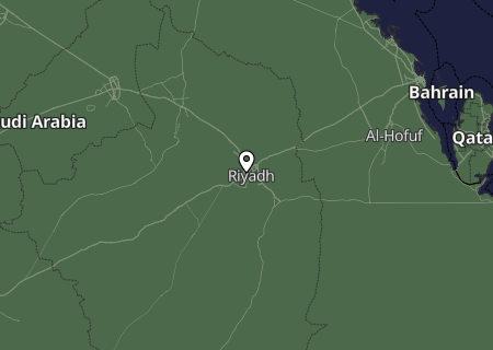 Niederschlagsprognose