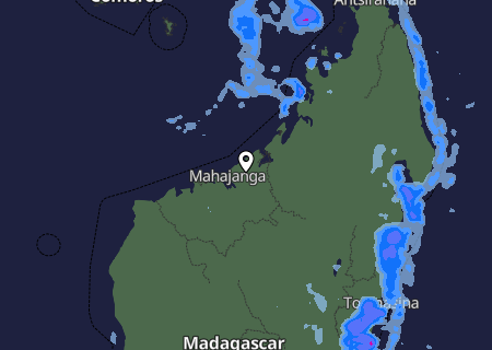 Niederschlagsprognose