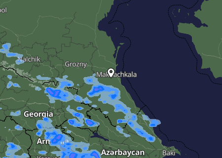 Niederschlagsprognose