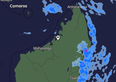 Niederschlagsprognose