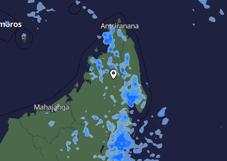 Niederschlagsprognose