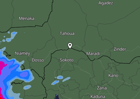 Niederschlagsprognose