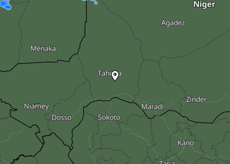 Niederschlagsprognose