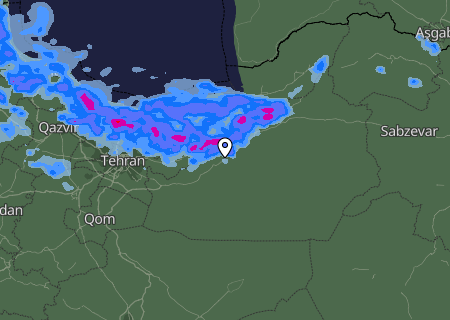 Niederschlagsprognose