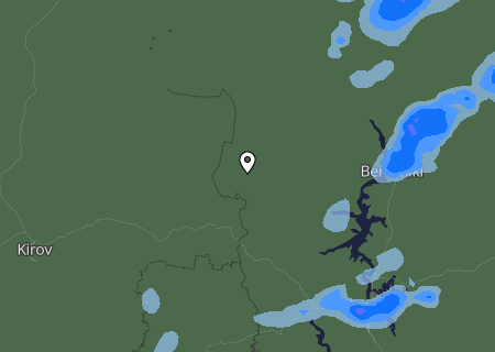 Niederschlagsprognose