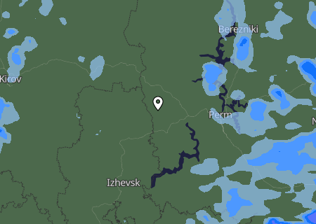Niederschlagsprognose