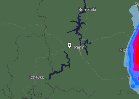 Niederschlagsprognose