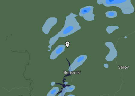 Niederschlagsprognose
