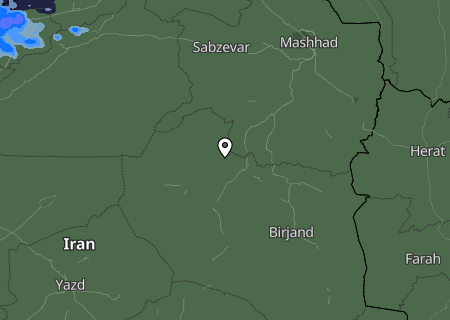 Niederschlagsprognose
