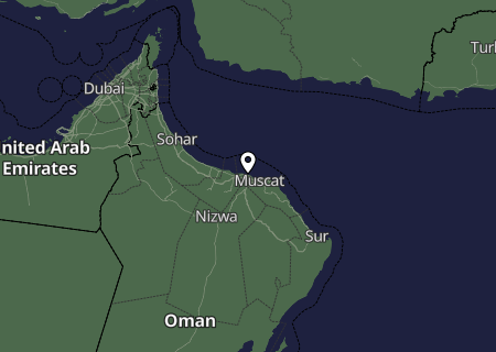 Niederschlagsprognose