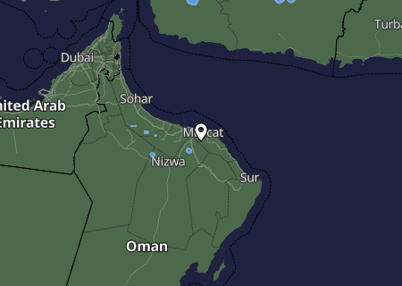 Niederschlagsprognose