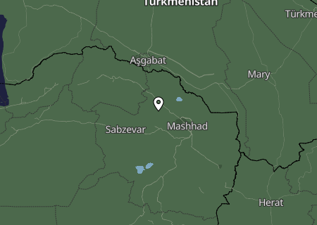 Niederschlagsprognose