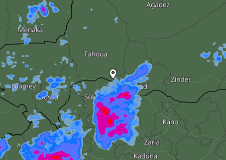 Niederschlagsprognose