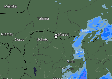 Niederschlagsprognose