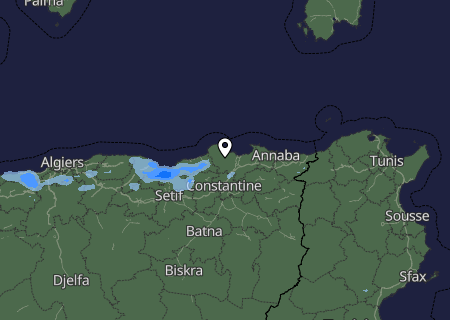Niederschlagsprognose
