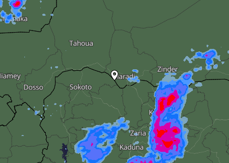 Niederschlagsprognose