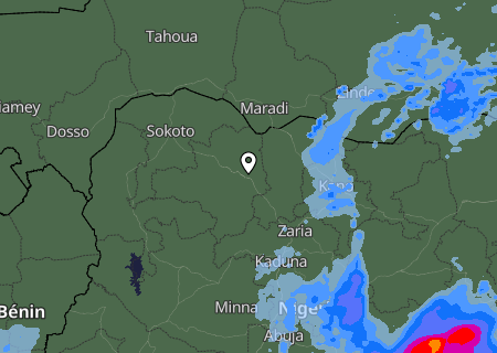 Niederschlagsprognose