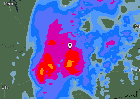 Niederschlagsprognose